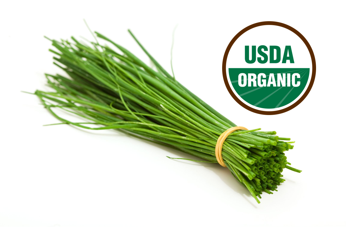 Scallions - Fresh Grown Farms LLC